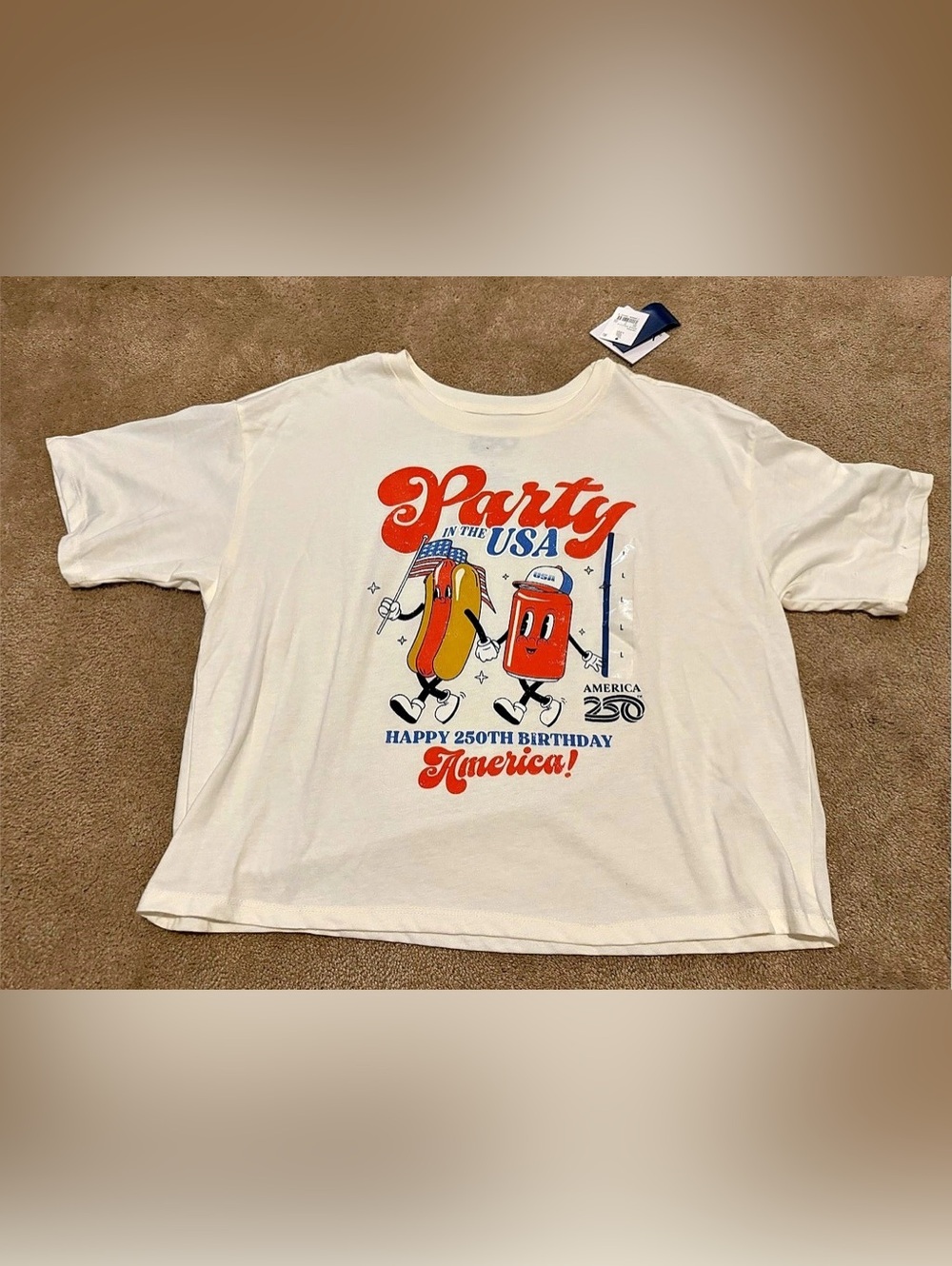America 2.0 graphic tee in White Size Large NWT